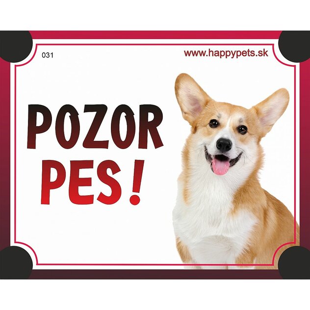 tab 031 corgi-